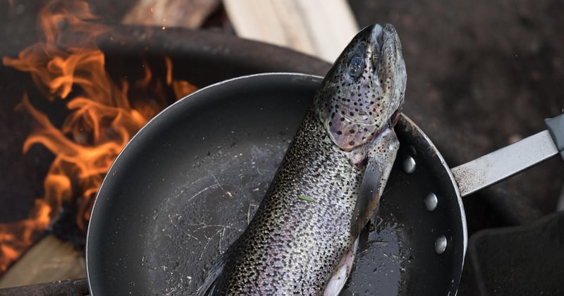 Comment cuisiner des plats simples sur feu de camp sans stress