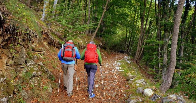 Marche avec bâton : bienfaits ce que vous gagnez vraiment